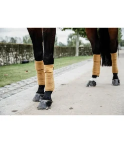 Bandes polaires Velvet - Moutarde - Kentucky