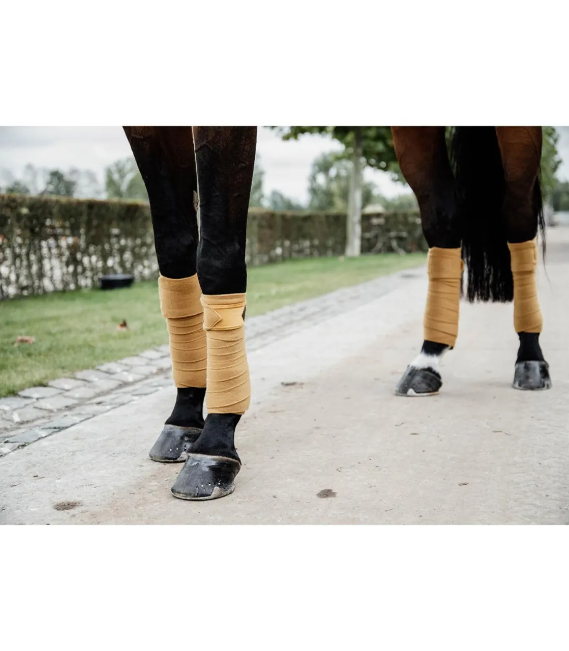 Bandes polaires Velvet - Moutarde - Kentucky