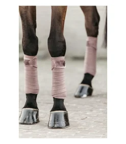 Bandes polaires Velvet - Parme - Kentucky