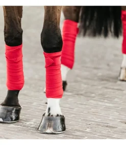 Bandes polaires Velvet - Rouge - Kentucky