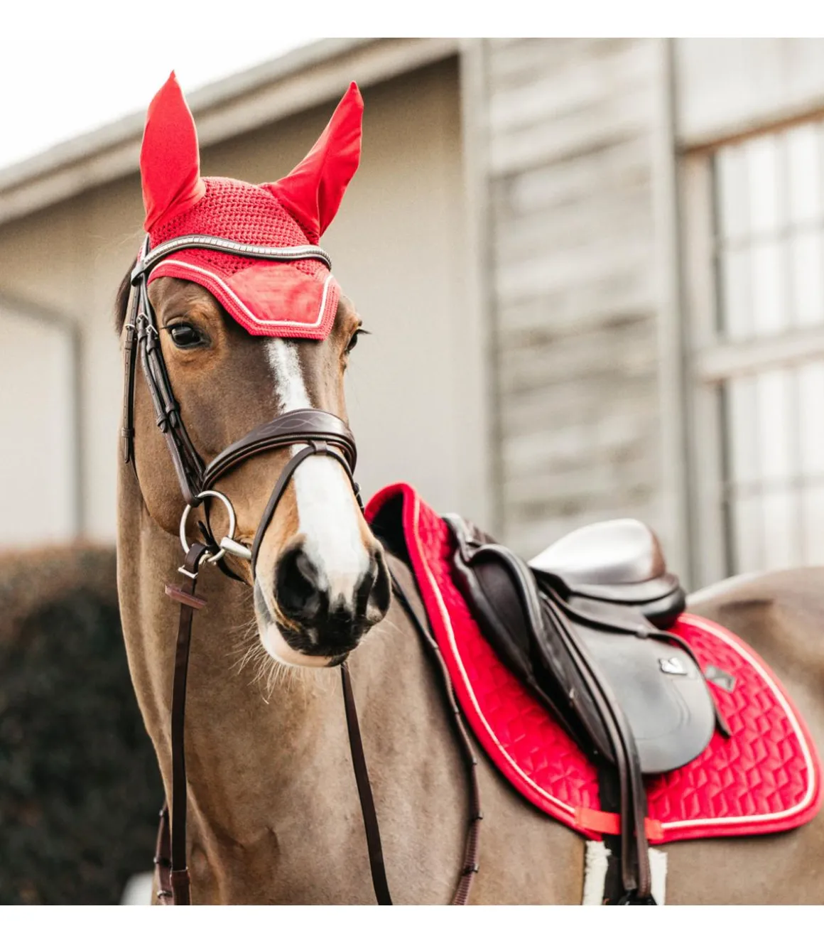 Bonnet Wellington Velvet Rouge - Kentucky