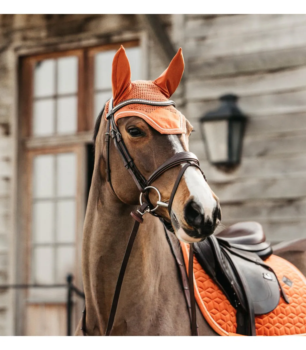 Bonnet Wellington Velvet Orange - Kentucky