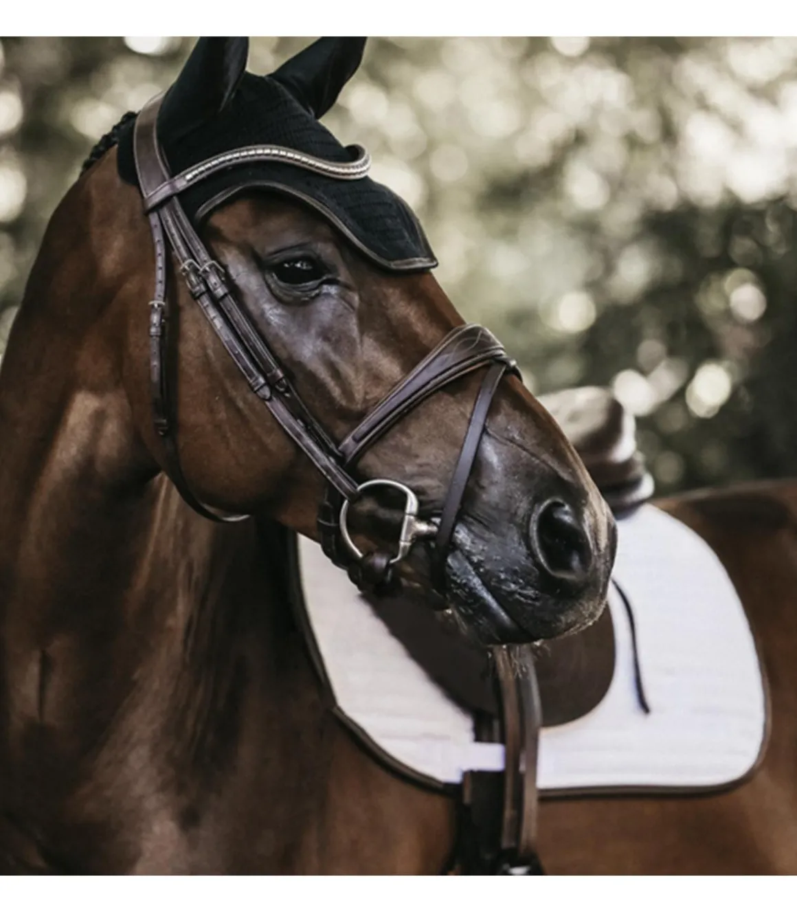 Bonnet anti-mouches Wellington Leather - Kentucky