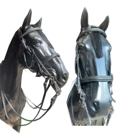 Bride de dressage + rênes de chez JMR PRO