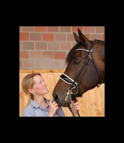 Bride de dressage doublé blanc et en cuir vernis Dy'on