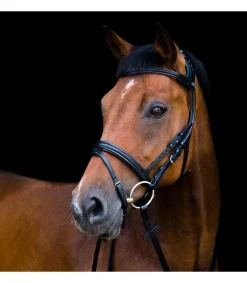 Bridon 2500 Freedom - Stübben