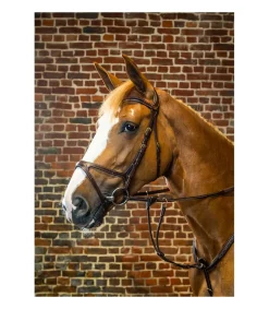 Bridon anatomique X-FIT Dy'on Collection - Dy'on