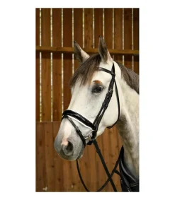 Bridon avec double muserolle large vernie blanc Working Collection - Dy'on