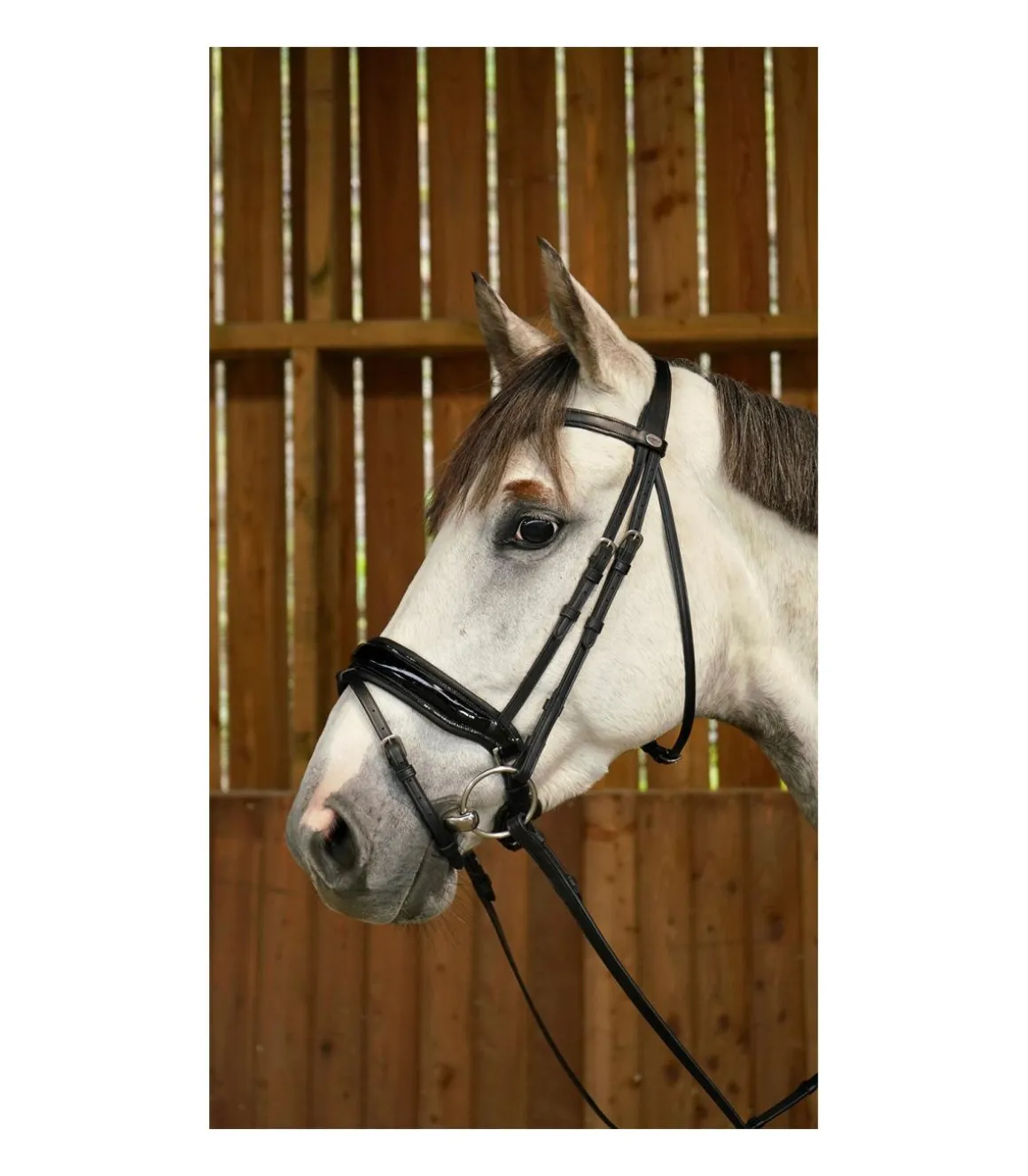 Bridon avec muserolle combinée large et vernie Working Collection - Dy'on