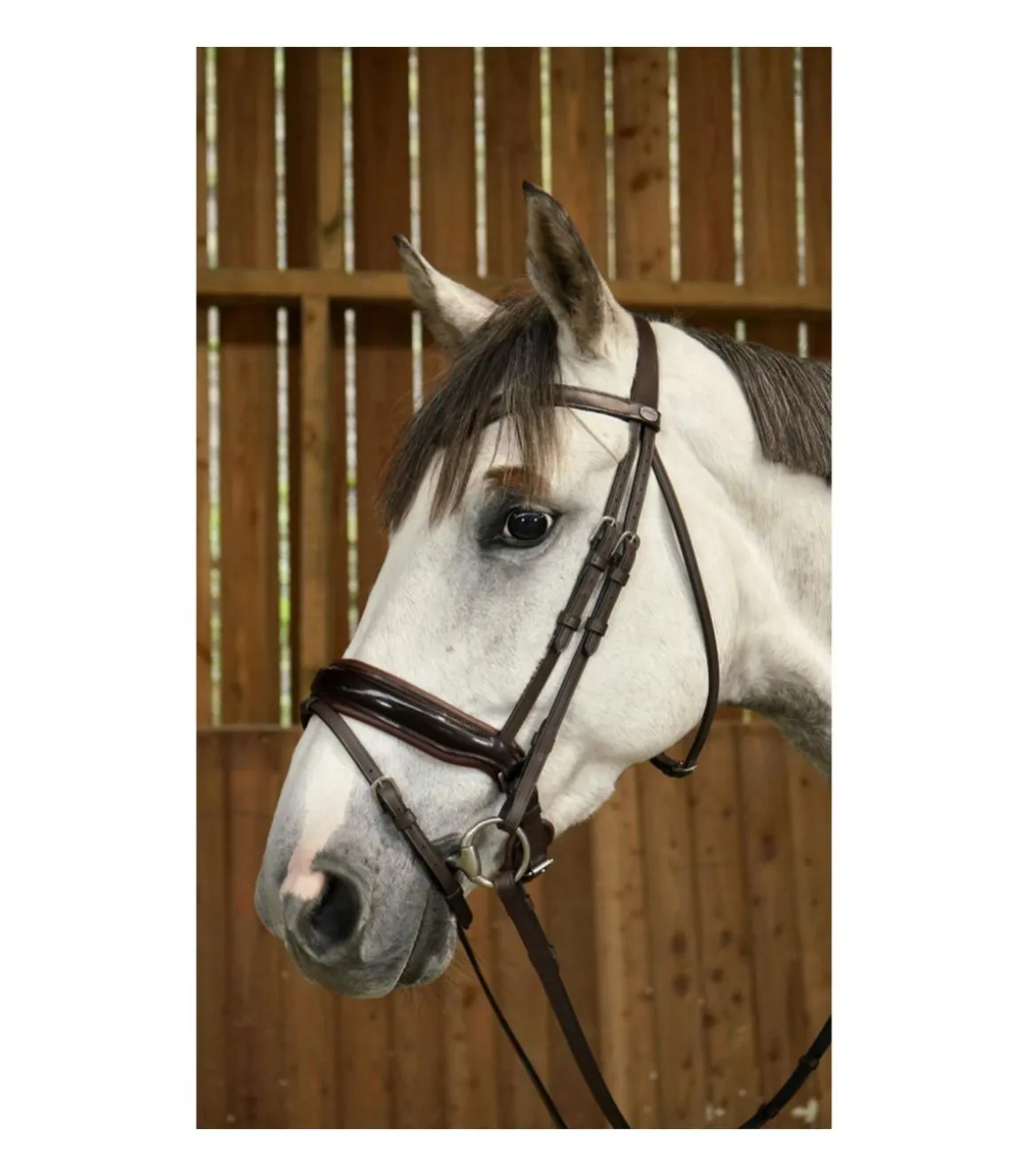 Bridon avec muserolle combinée large et vernie Working Collection - Dy'on