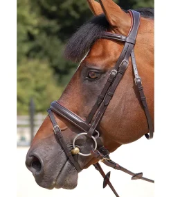 Bridon classic Dy'on working collection muserolle large pull back