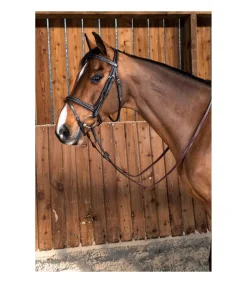 Bridon classic Dy'on working collection muserolle combinée