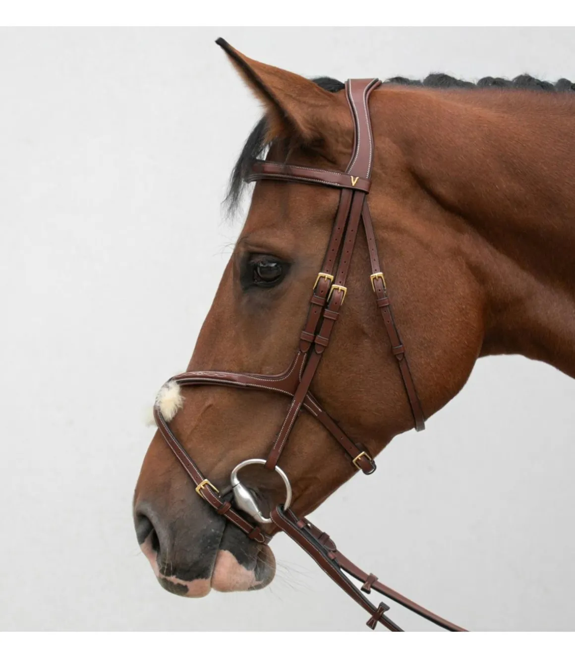 Bridon crossline avec muserolle mexicaine - HVN