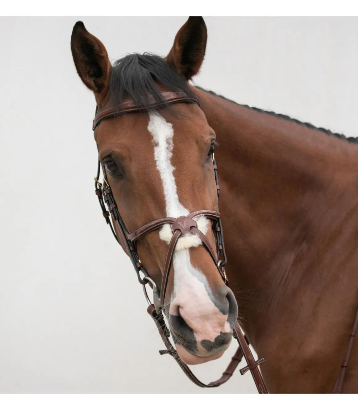 Bridon crossline avec muserolle mexicaine - HVN