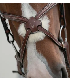 Bridon crossline avec muserolle mexicaine - HVN