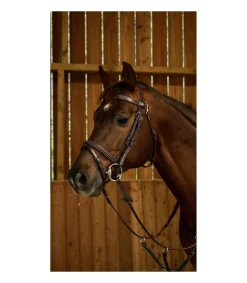 Bridon Dy'on working collection muserolle combinée fancy