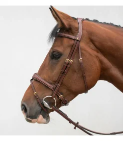 Bridon ergonomique HVM pour chevaux sensibles et jeunes chevaux