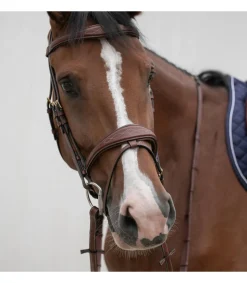 Bridon ergonomique HVM pour chevaux sensibles et jeunes chevaux