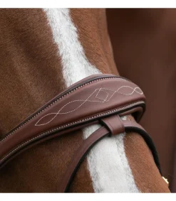 Bridon ergonomique HVM pour chevaux sensibles et jeunes chevaux