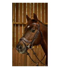 Bridon Fit de la Working Collection - Dy'on