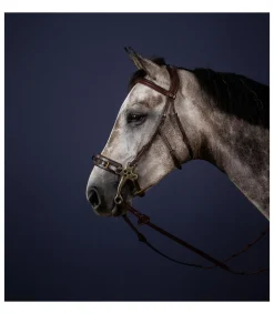 Bridon pour hackamore New English Collection - Dy'on