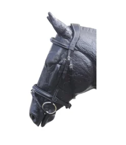 Bridon Precious avec muserolle croisée et têtière ergonomique