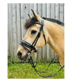 Bridon Rebelle avec muserolle combinée large et vernie - Jmr Pro