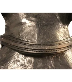 Bridon Shiny avec frontal et muserolle en crystal fabric - JMR PRO