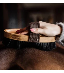 Brosse douce à poils durs - Kentucky