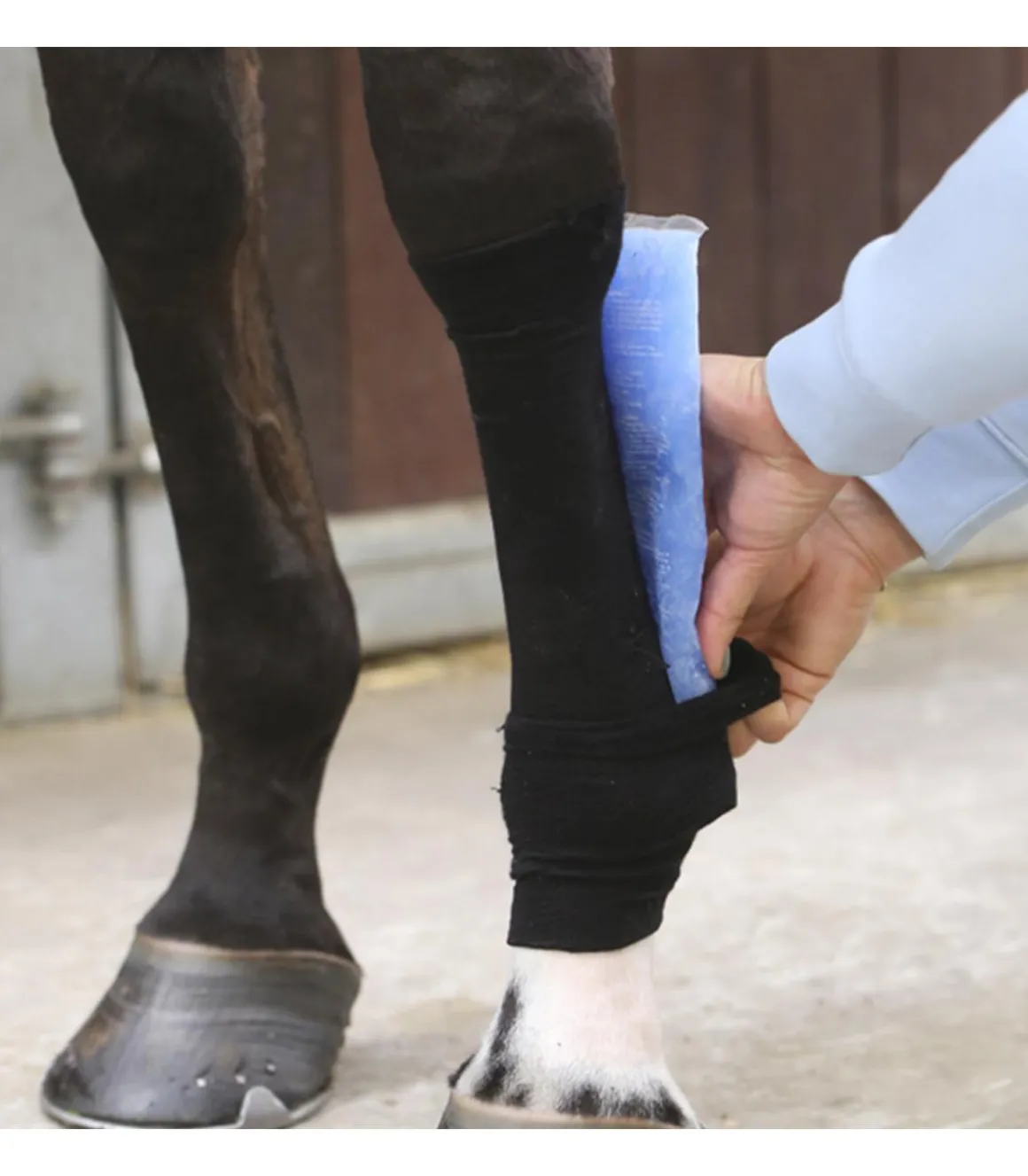 Chaussettes Tendon Grip - Kentucky