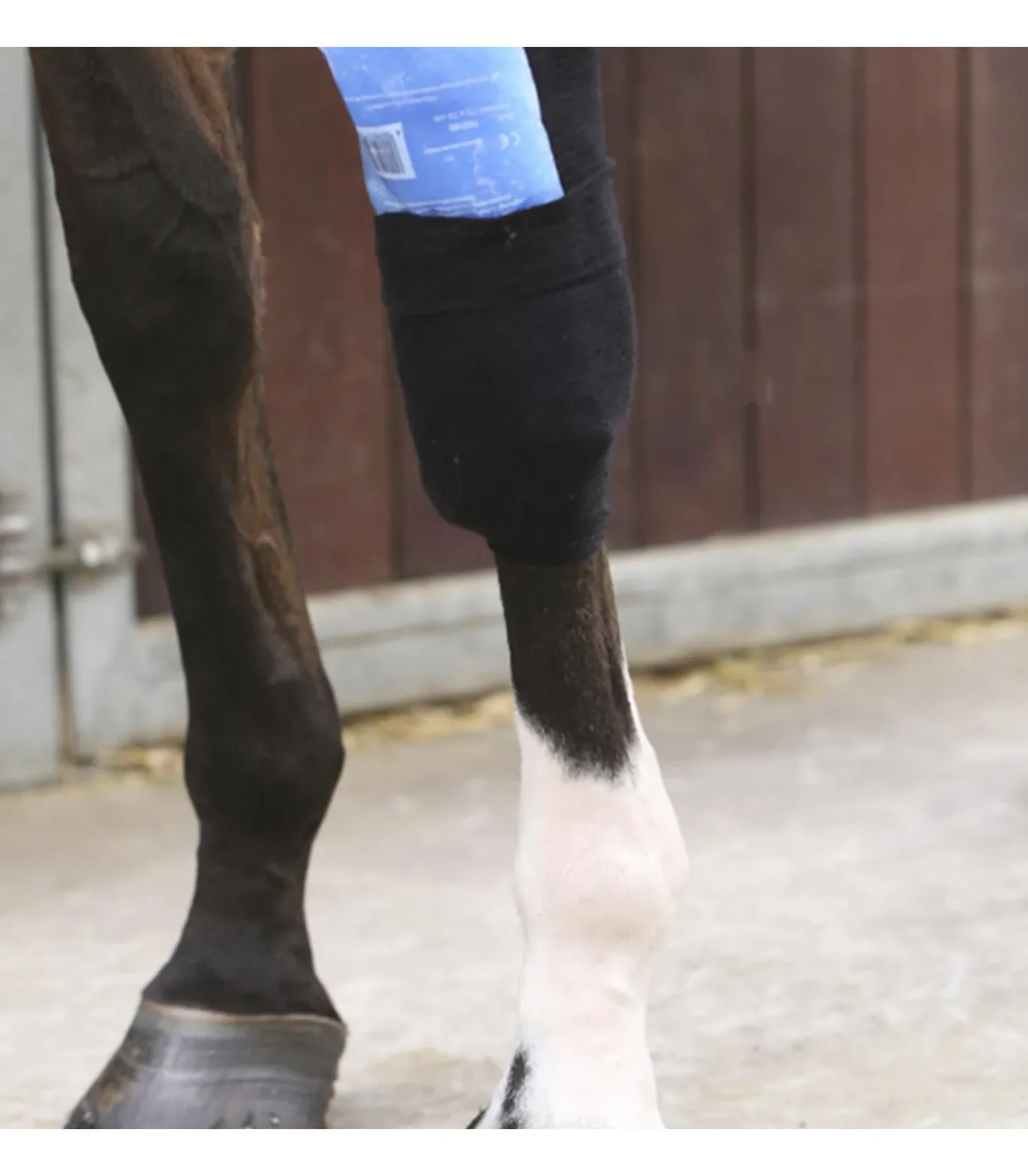 Chaussettes Tendon Grip - Kentucky