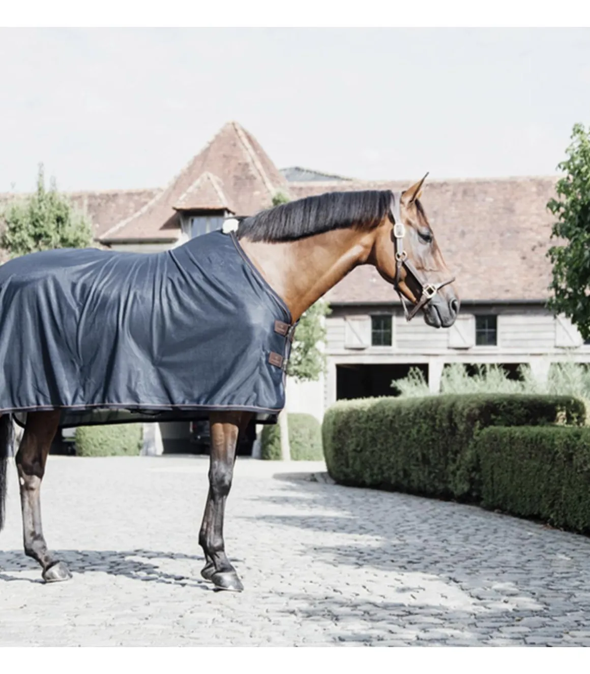 Chemise anti-mouches - Kentucky