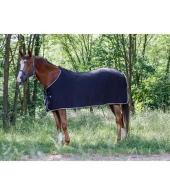 Chemise polaire RIDING WORLD - Basique