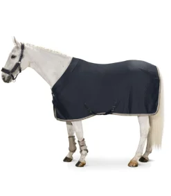 Chemise séchante en jersey Aerial Classic Sports 2021 - Eskadron