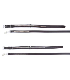 Collier et laisse en cuir pour chien JMR PRO