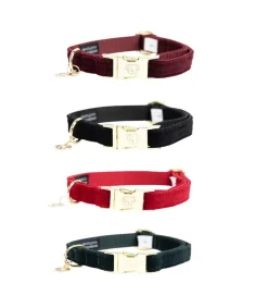 Collier pour chien Corduroy - Kentucky