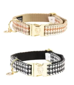 Collier pour chien Pied-de-poule - Kentucky