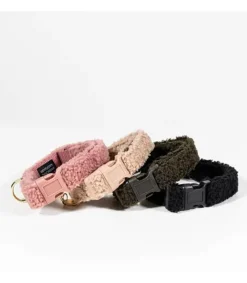 Collier pour chien Teddy - Kentucky