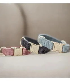 Collier pour chien Wool - Kentucky