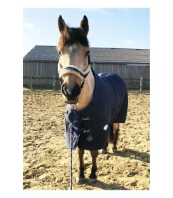 Couverture de box 850 deniers et 200gr de chez JMR