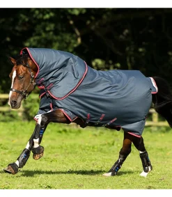 Couverture Horseware Amigo Bravo 12 Plus 250 grammes