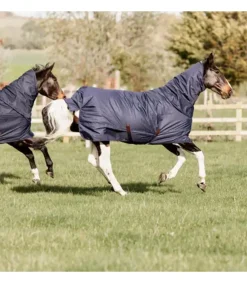 Couverture imperméable All Weather Quick Dry Fleece 150gr avec encolure - Kentucky