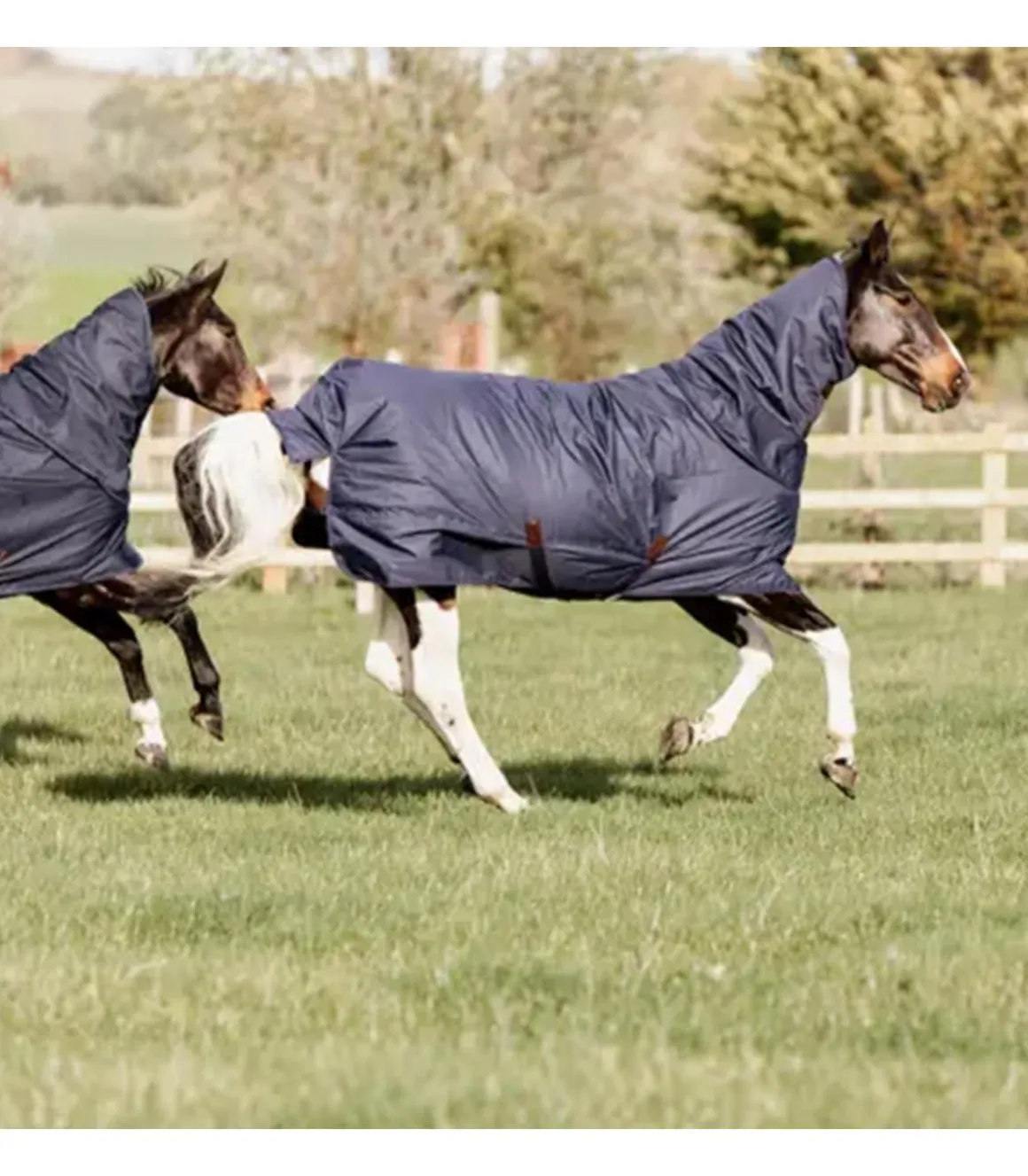 Couverture imperméable All Weather Quick Dry Fleece 150gr avec encolure - Kentucky