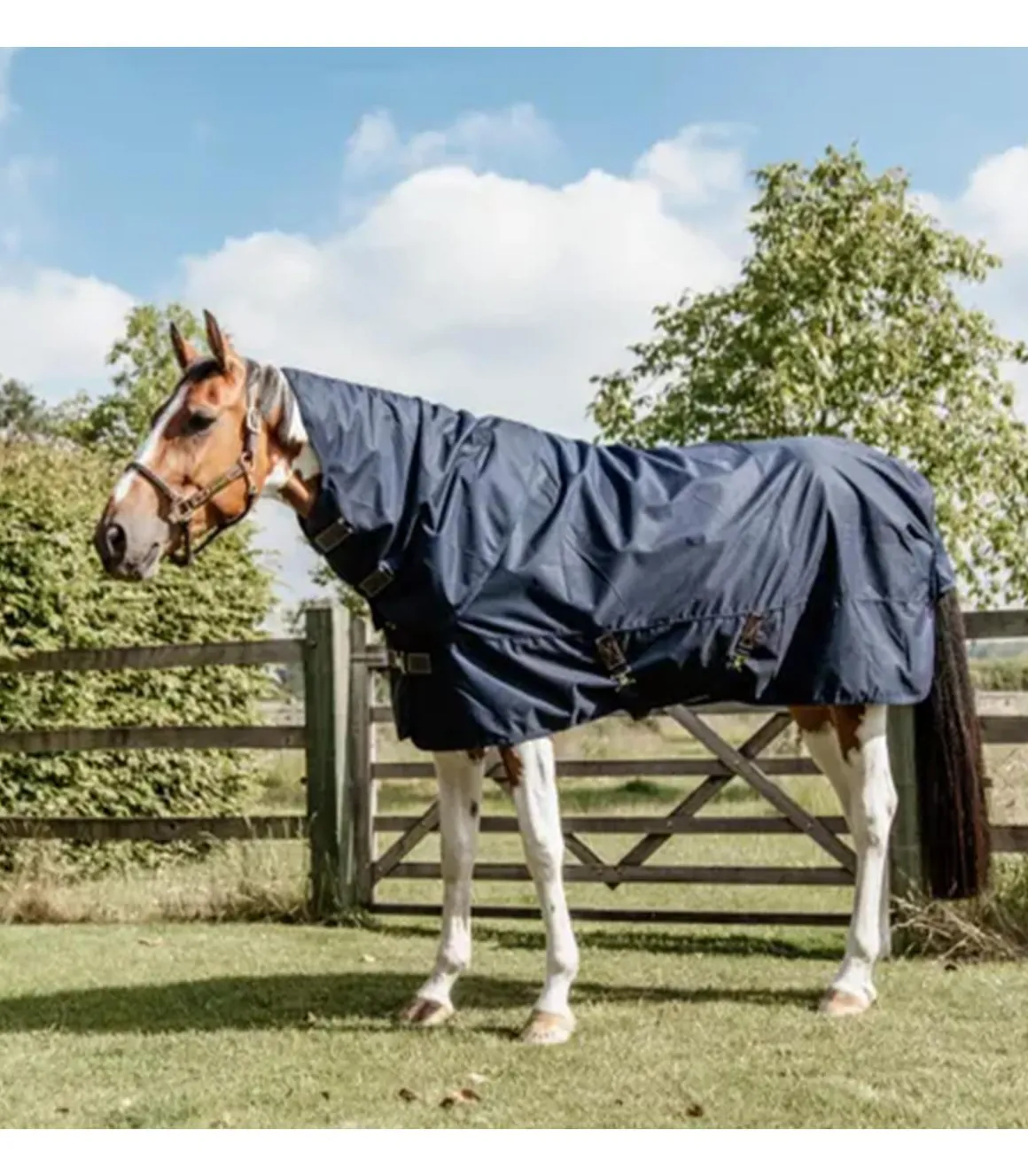 Couverture imperméable All Weather Quick Dry Fleece 0gr avec encolure - Kentucky