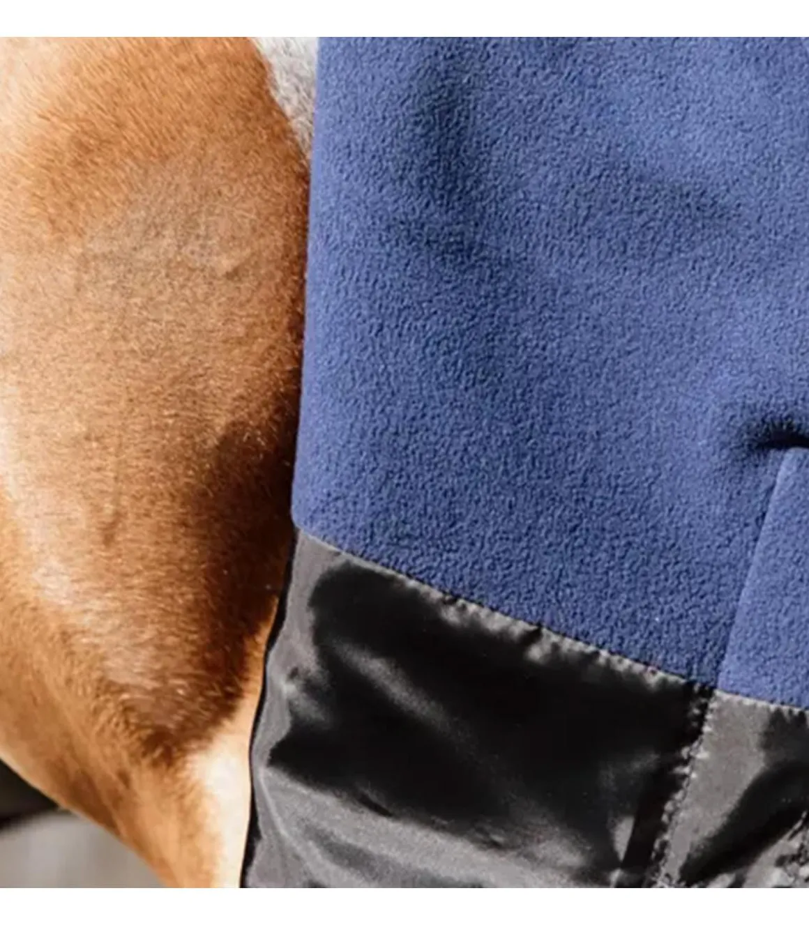 Couverture imperméable All Weather Quick Dry Fleece 0gr avec encolure - Kentucky