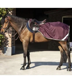 Couvre-reins Amigo Competition Sheet Horseware
