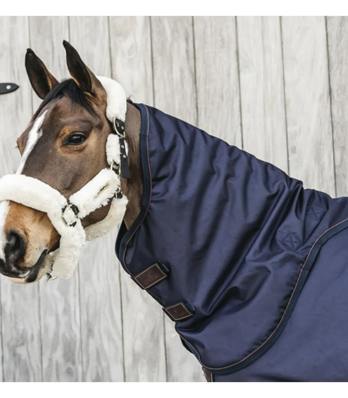 Encolure amovible All Weather Pro imperméable 0gr - Kentucky