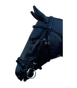 Filet en cuir muserolle combinée gamme Epsilon