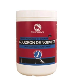 Goudron de Norvège Paskacheval