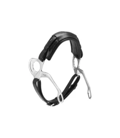 Hackamore - Stübben